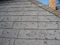Grapevine Tx Roofing Pro image 3